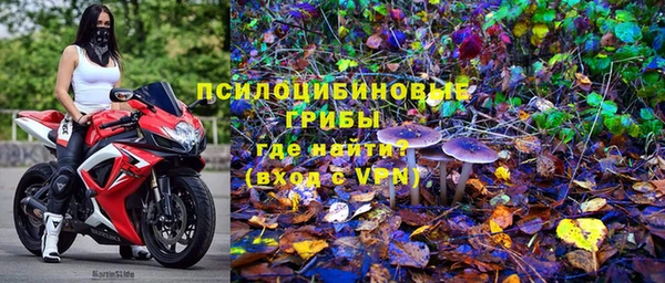 стафф Алзамай
