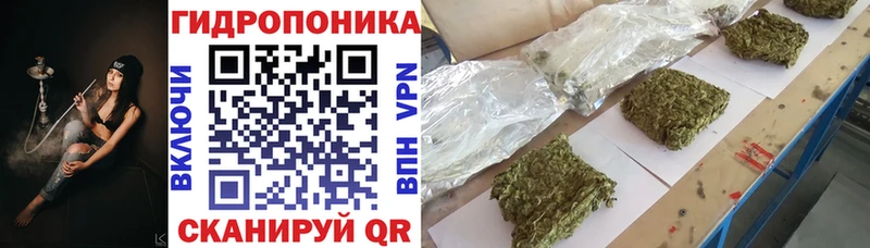 купить закладку  Нытва  shop какой сайт  Бошки марихуана LSD WEED 
